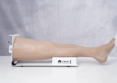 TYE1002 – Punção na Tíbia Perna Adulta com Suporte