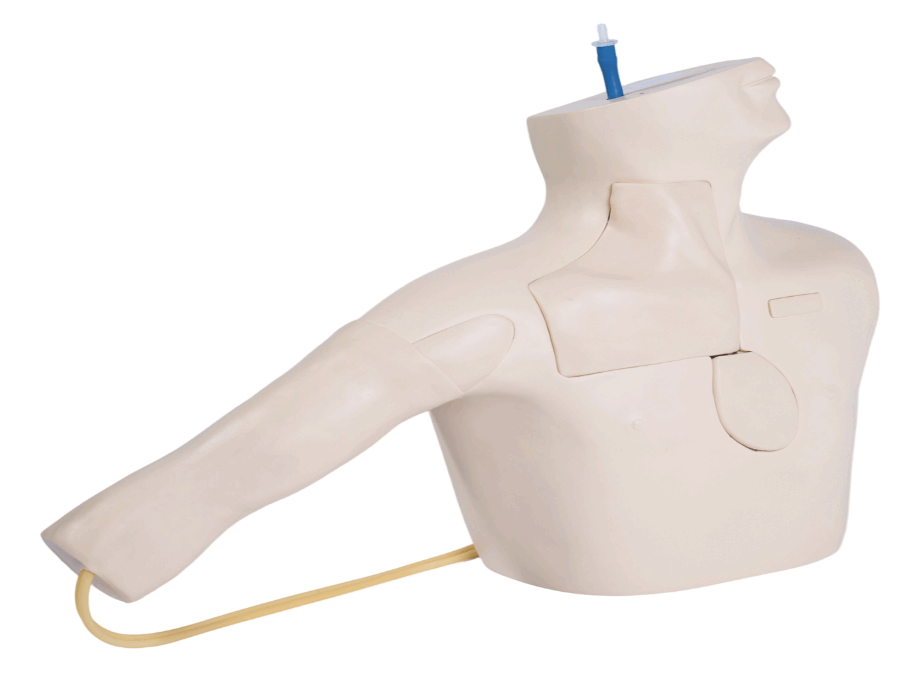 TYE1510 – Acesso Venoso Central e Cateterismo