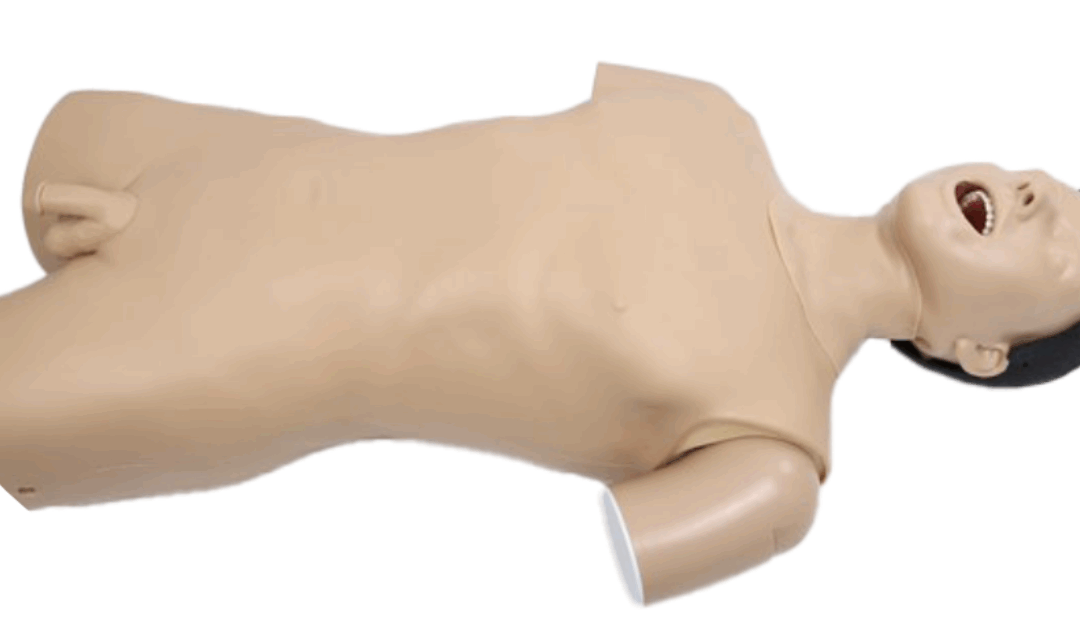 TYE1578.2 e TYE1578- Manequim de Endoscopia Alta – Gastrostomia