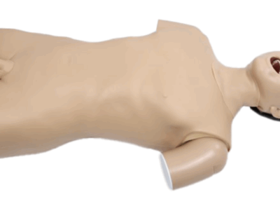 TYE1578.2 e TYE1578- Manequim de Endoscopia Alta – Gastrostomia