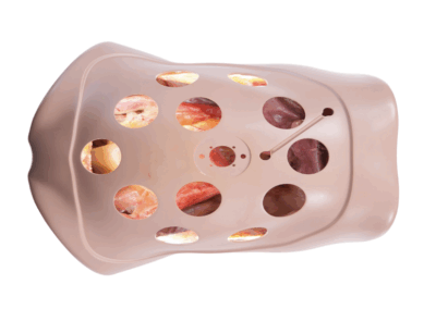 TYE6061.3 – Torso de Laparoscopia – Cirurgia Fechada 