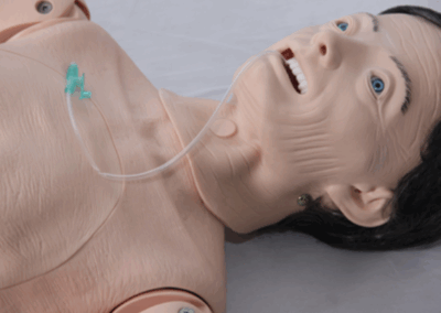 TYE9005 e TYE9006 – Manequim Completo Geriátrico Masculino e Feminino