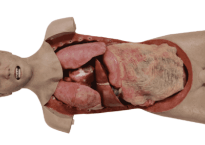 TYE9052 – Torso de Toracotomia – Cirurgia Aberta 